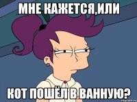 мне кажется,или кот пошёл в ванную?