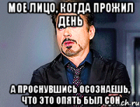 МОЕ ЛИЦО, КОГДА ПРОЖИЛ ДЕНЬ А ПРОСНУВШИСЬ ОСОЗНАЕШЬ, ЧТО ЭТО ОПЯТЬ БЫЛ СОН