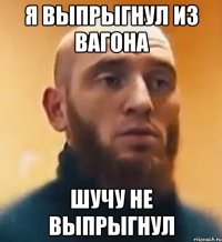 Я выпрыгнул из вагона Шучу не выпрыгнул