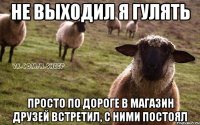 не выходил я гулять просто по дороге в магазин друзей встретил, с ними постоял