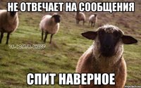 Не отвечает на сообщения Спит наверное