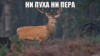 НИ ПУХА НИ ПЕРА 