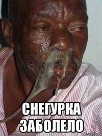  снегурка заболело