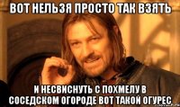 вот нельзя просто так взять и несвиснуть с похмелу в соседском огороде вот такой огурес