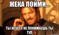 Жека пойми... Ты нечего не понимаешь ты туп