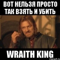 ВОТ НЕЛЬЗЯ ПРОСТО ТАК ВЗЯТЬ И УБИТЬ WRAITH KING