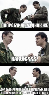 попробуй!Праздник же КАКОЙ???? долбаёб!?Превое мая и шашлык,две вещи рождены от...хер знает от кого