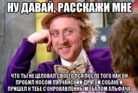 ну давай, расскажи мне что ты не целовал своего пса после того как он пробил носом пупчанский другой собаке и пришел к тебе с окровавленным ебалом альфача