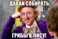 давай собирать грибы в лису!
