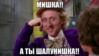 Мишка!! А ты шалунишка!!