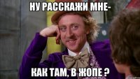 Ну расскажи мне- Как там, в жопе ?