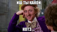 Иш ты какой Котэ ...