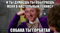 И ты думаешь ты обыграешь меня в настольный теннис? Собака ты горбатая