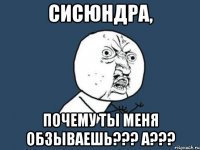 сисюндра, почему ты меня обзываешь??? а???