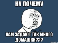 Ну почему Нам задают так много домашки???