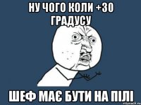 НУ ЧОГО КОЛИ +30 ГРАДУСУ ШЕФ МАЄ БУТИ НА ПІЛІ