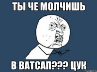 ты че молчишь в ватсап??? цук