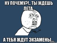 Ну почему?!.. Ты ждешь лета, а тебя ждут экзамены...