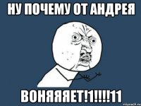 Ну почему от Андрея Воняяяет!1!!!!11