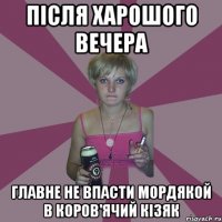 після харошого вечера главне не впасти мордякой в коров'ячий кізяк