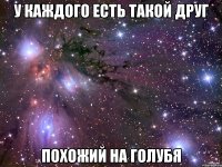 У КАЖДОГО ЕСТЬ ТАКОЙ ДРУГ ПОХОЖИЙ НА ГОЛУБЯ