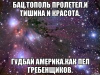 Бац.тополь пролетел.и тишина и красота. Гудбай америка.как пел гребенщиков.