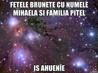 Fetele brunete cu numele Mihaela si familia Pitel Is ahuenîe