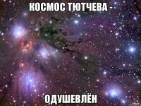 Космос Тютчева - одушевлён