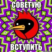 Советую Вступить