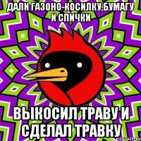 Дали газоно-косилку,бумагу и спички выкосил траву и сделал травку