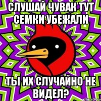 Слушай чувак тут семки убежали Ты их случайно не видел?