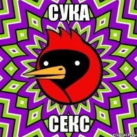 СУКА СЕКС