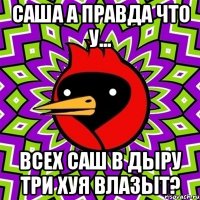 Саша а правда что у... всех саш в дыру три хуя влазыт?