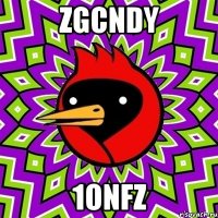 ZgCNdy 1onfz