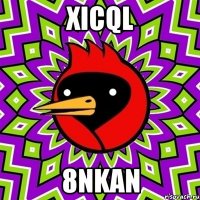 XIcQl 8nKan