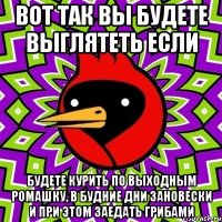 ВОТ ТАК ВЫ БУДЕТЕ ВЫГЛЯТЕТЬ ЕСЛИ БУДЕТЕ КУРИТЬ ПО ВЫХОДНЫМ РОМАШКУ, В БУДНИЕ ДНИ ЗАНОВЕСКИ И ПРИ ЭТОМ ЗАЕДАТЬ ГРИБАМИ