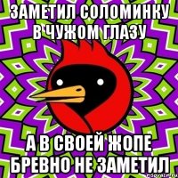 заметил соломинку в чужом глазу а в своей жопе бревно не заметил