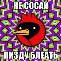 не сосай пизду блеать