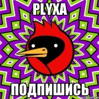 PLYXA подпишись