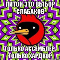 питон это выбор слабаков только ассемблер, только хардкор