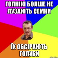 Гопнікі болше не лузають семки Їх обсірають голуби