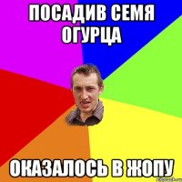 Посадив семя огурца оказалось в жопу