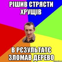 рішив стрясти хрущів в рєзультатє зломав дерево