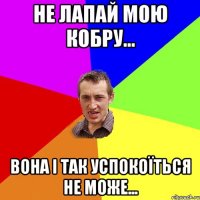 Не лапай мою кобру... Вона і так успокоїться не може...