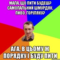 мала, що пити будеш? самопальний шмурдяк, пиво, горіляку? ага, в цьому ж порядку і буду пити