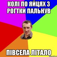 Колі по яйцях з рогтки пальнув Півсела літало