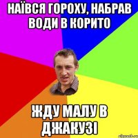 наївся гороху, набрав води в корито жду малу в джакузі