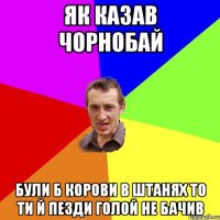 як казав Чорнобай були б корови в штанях то ти й пезди голой не бачив