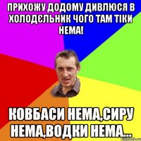 Прихожу додому дивлюся в холодєльник чого там тіки нема! Ковбаси нема,сиру нема,водки нема...