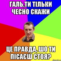 Галь,ти тільки чесно скажи Це правда, шо ти пісаєш стоя?